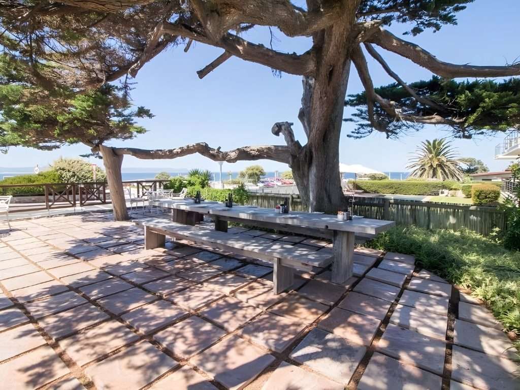 A long wooden table under an old tree, with the sea beyond