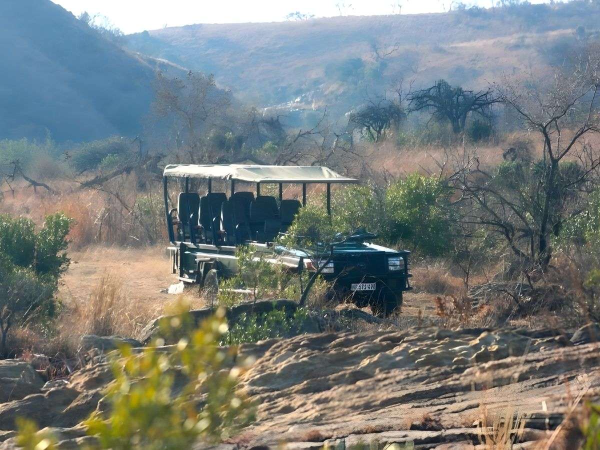 An open game-drive vehicle in the bush