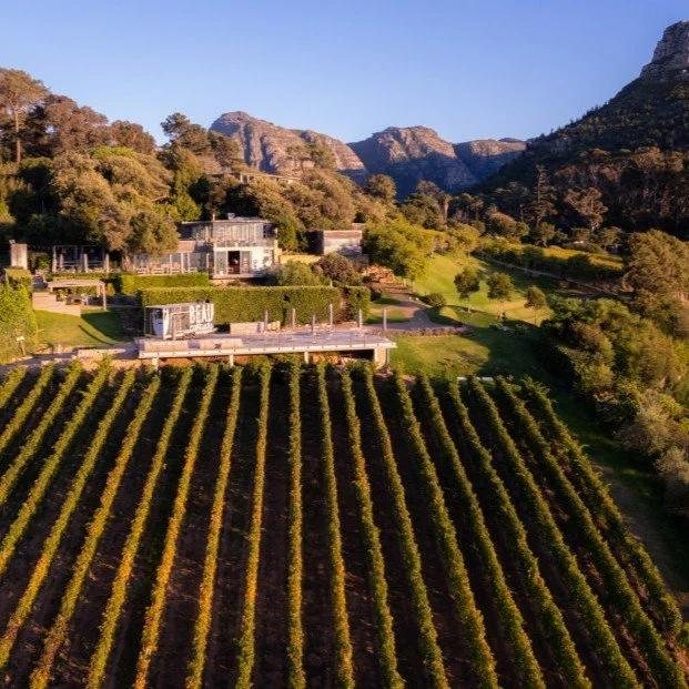 Terraced vineyards on the hillside seen from the air
