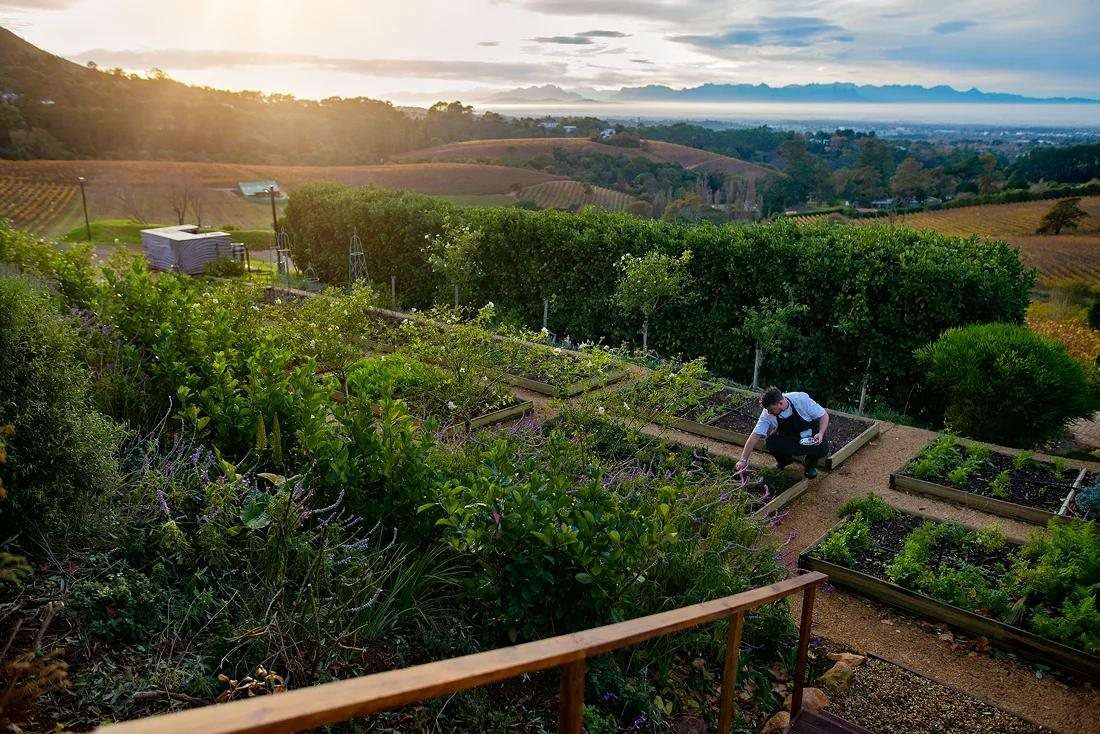 The garden below the restaurant and the valley in evening light