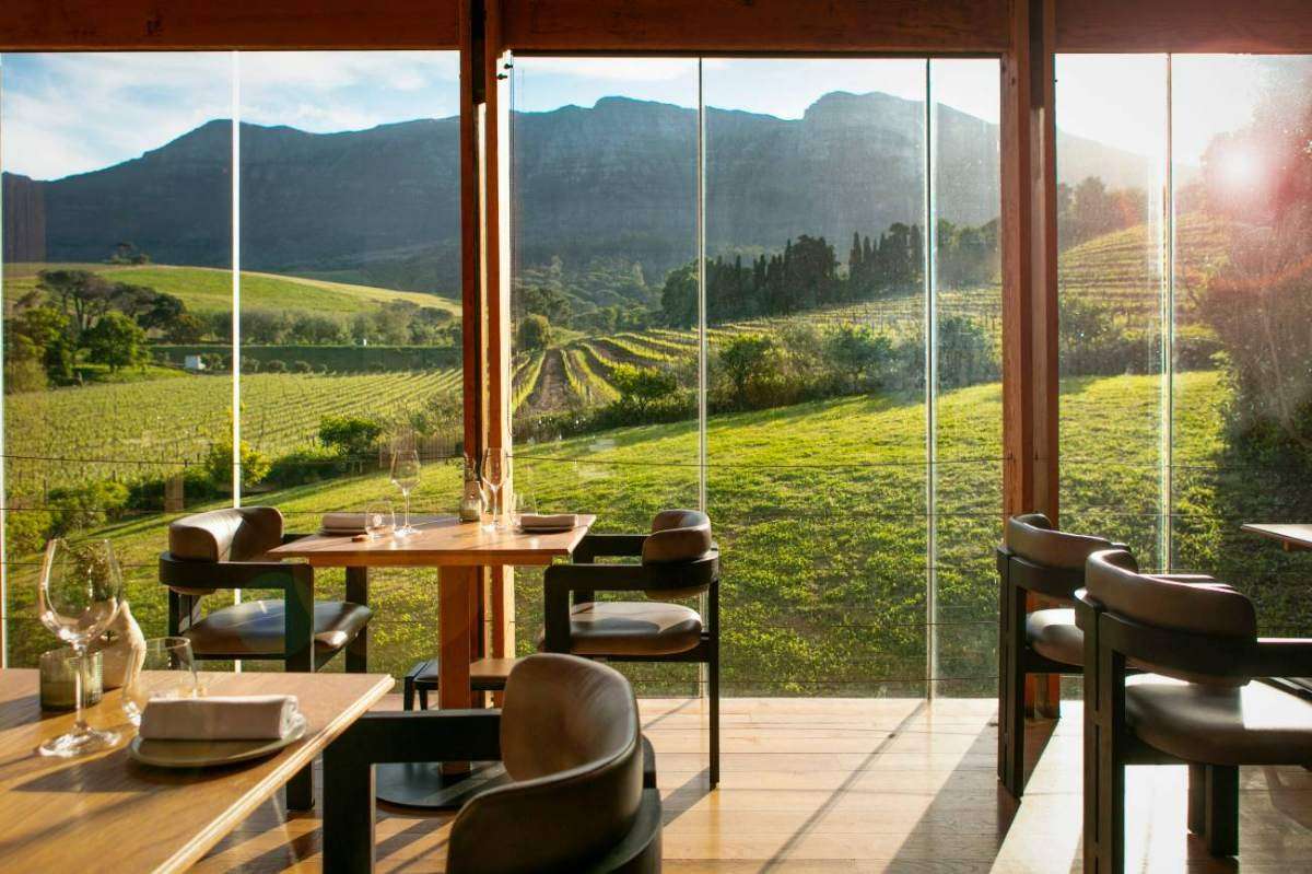A restaurant dining area with large windows facing green vineyards and mountains