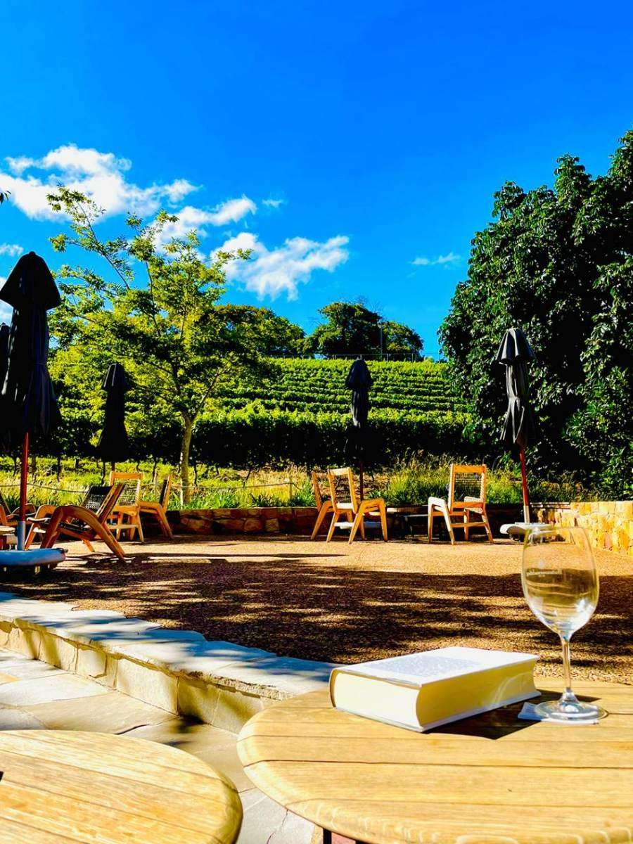 A wine glass on a picnic table on a sunny lawn with trees behind