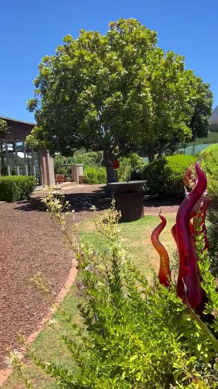 A visit to Creation: the garden, the view and the pairing lunch
