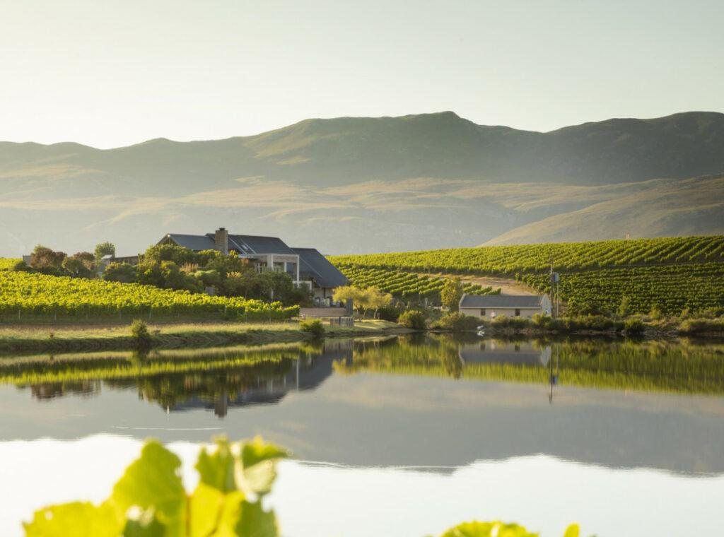 The Creation tasting room on the ridge, above a dam and rows of vines