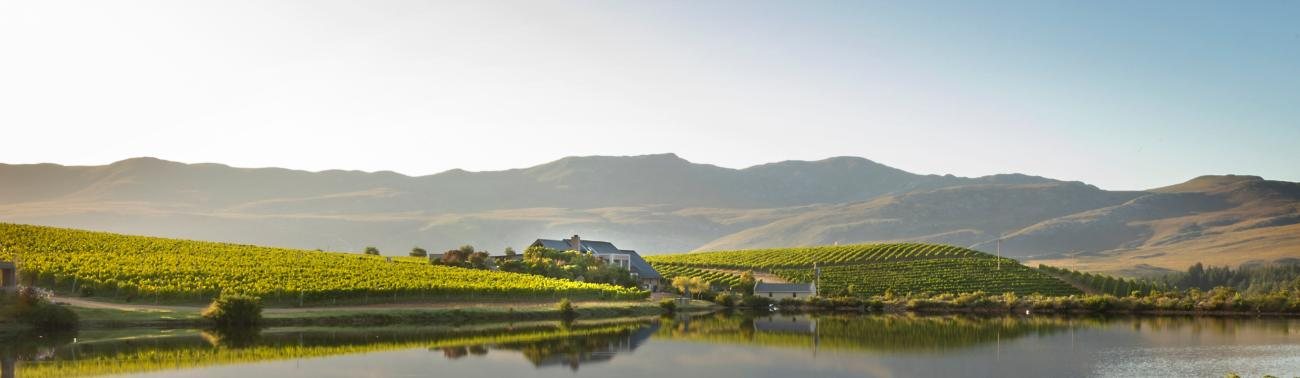 A panorama of the Hemel-en-Aarde Ridge, with vines, a dam and mountains