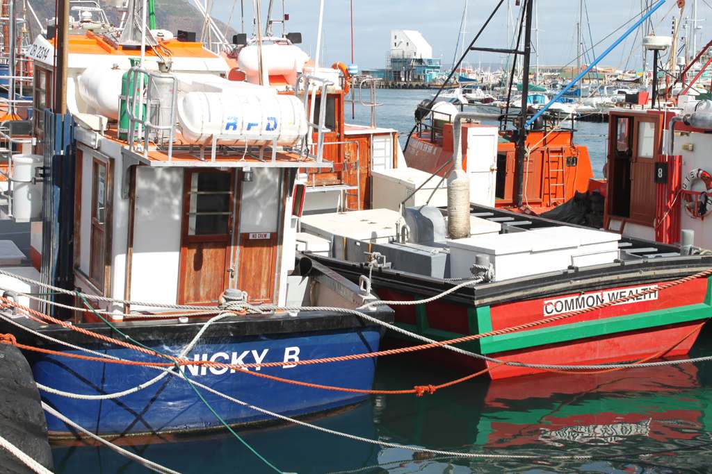 Brightly painted fishing boats tied up side by side in the harbour