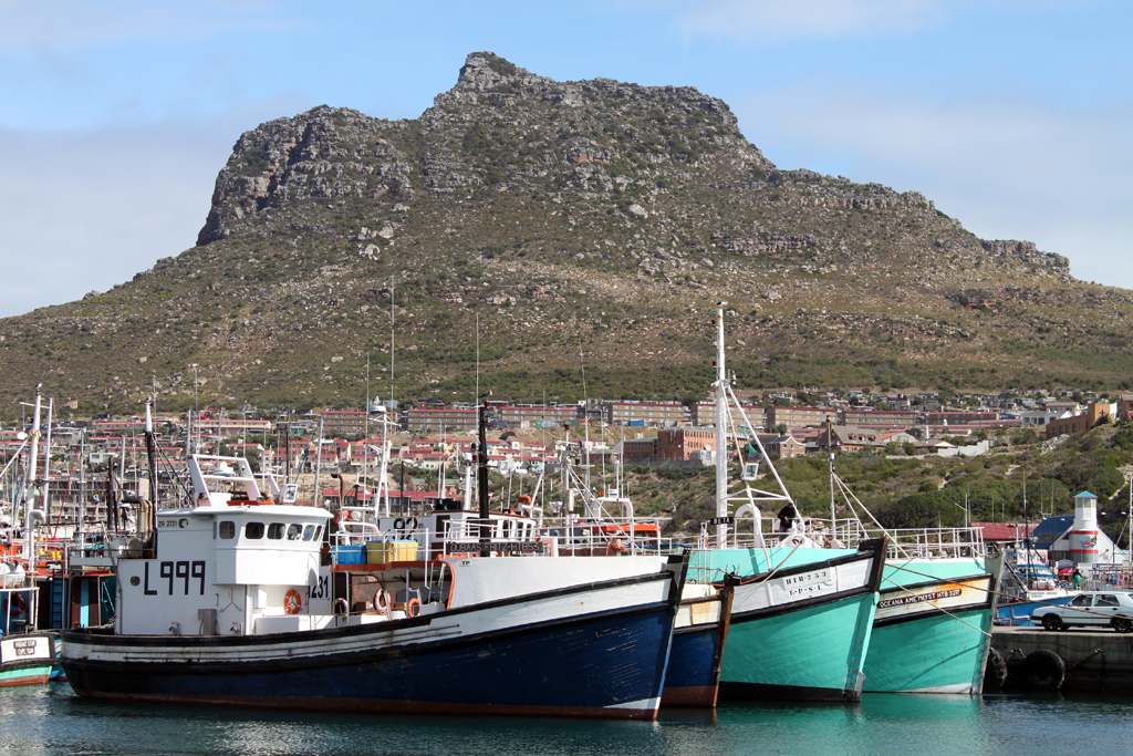 Blue and green fishing boats moored in Hout Bay harbour below a rocky mountain