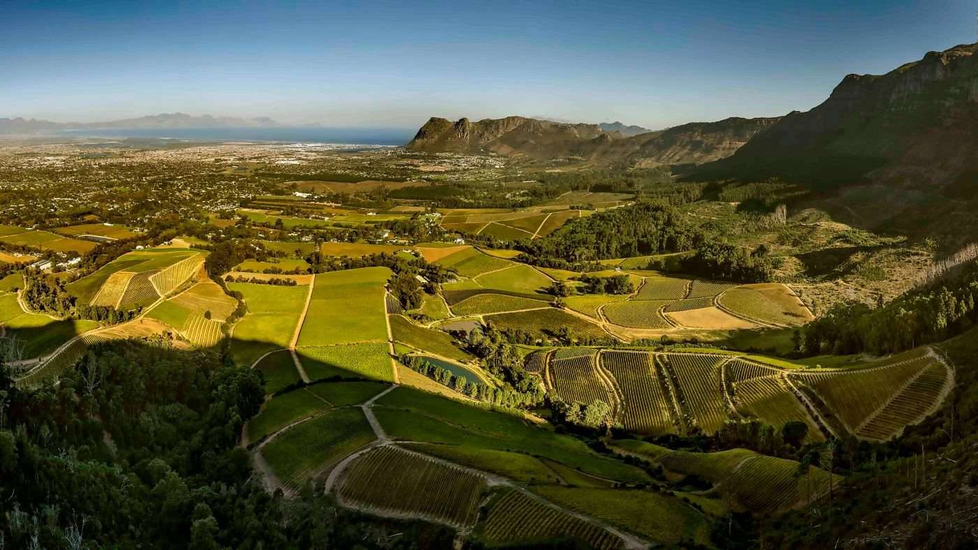 The vineyards of Klein Constantia from the air, with the Constantia Valley and False Bay beyond