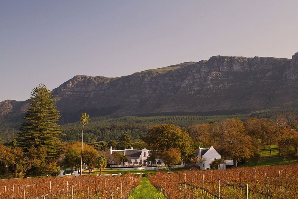 The homestead among trees with autumn vineyards in front and the Constantiaberg behind