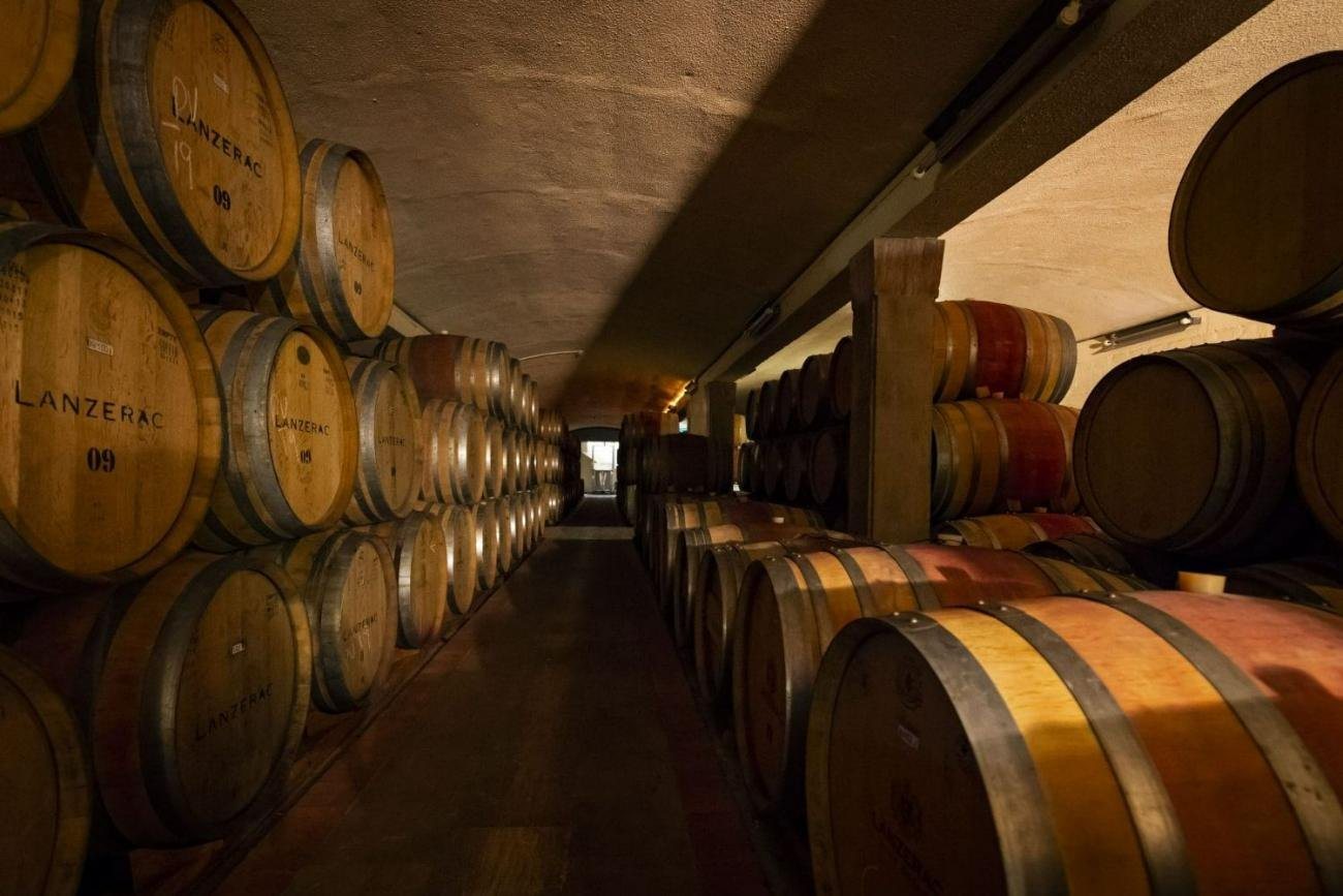Rows of oak barrels in the cellar