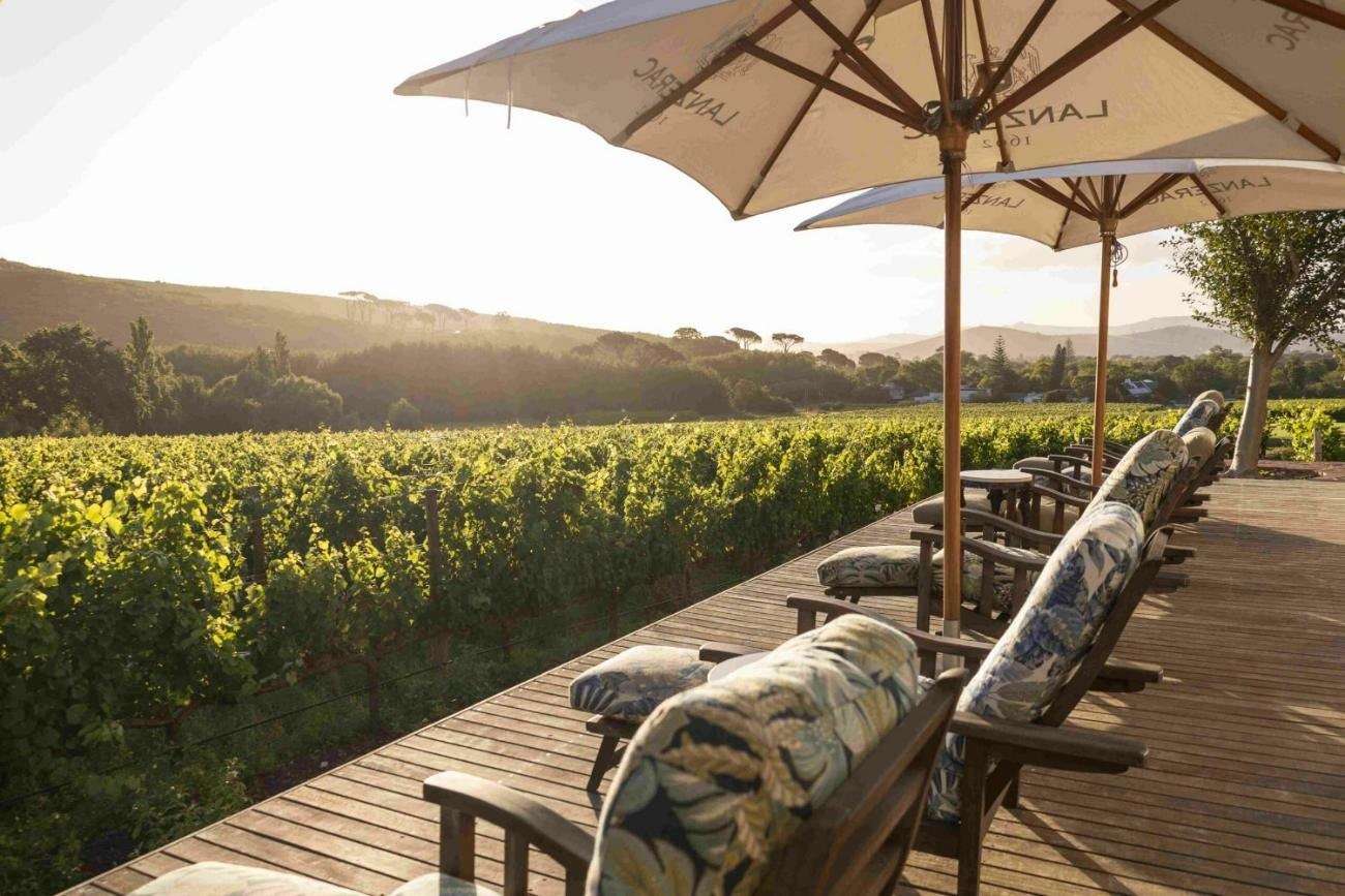 The spa deck with loungers looking out over the vineyards