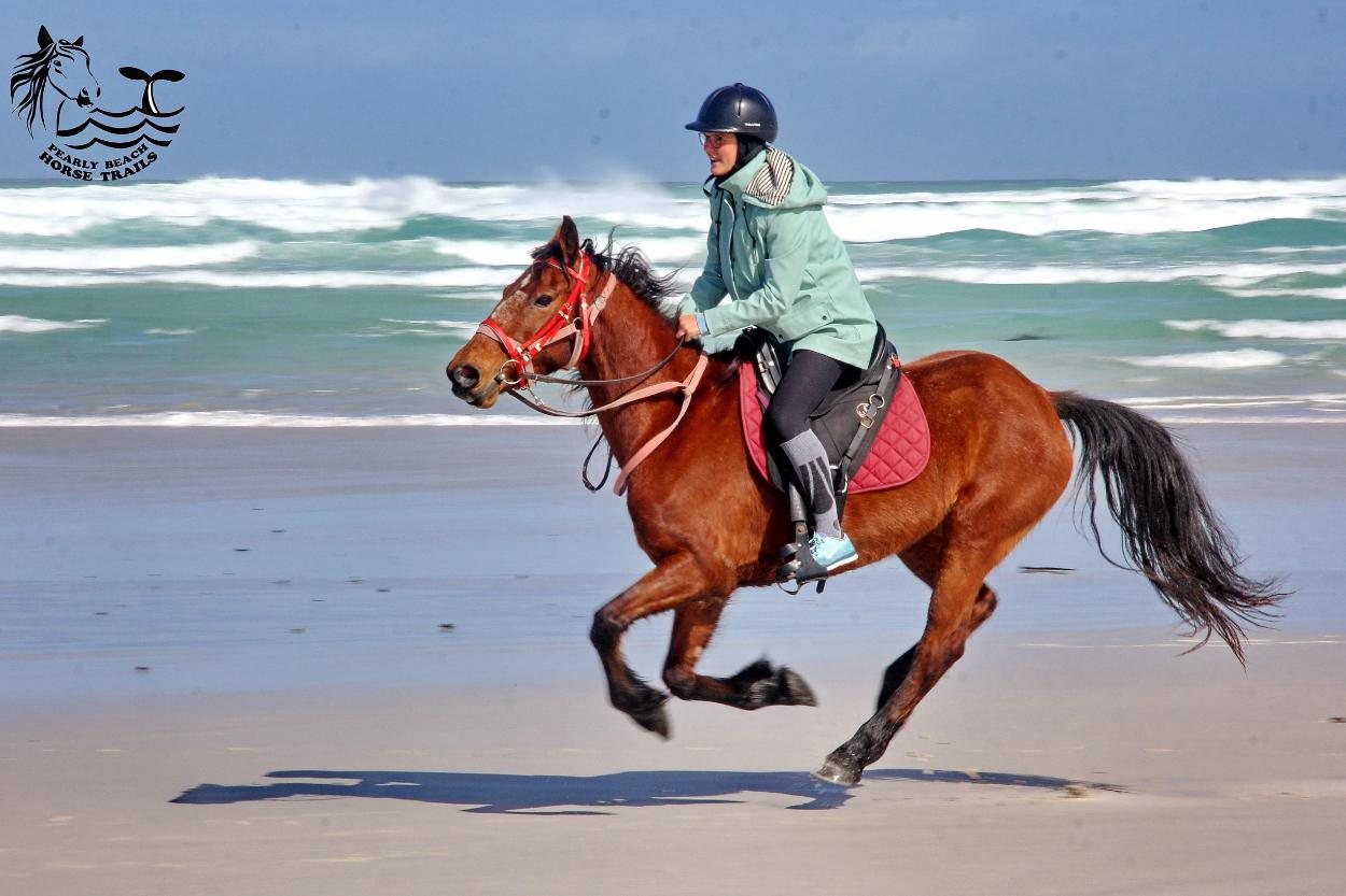 A rider cantering through the shallows