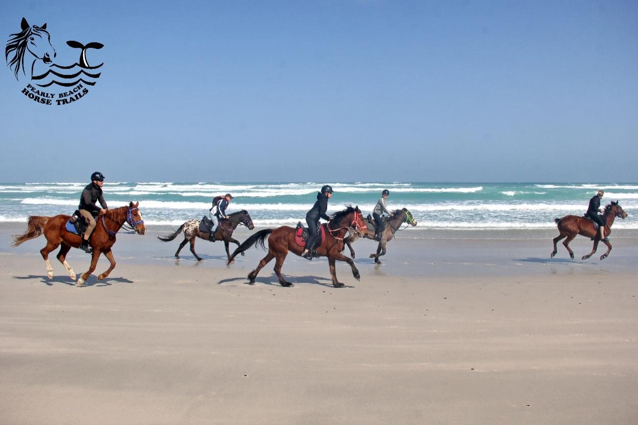 A group of riders cantering along the beach