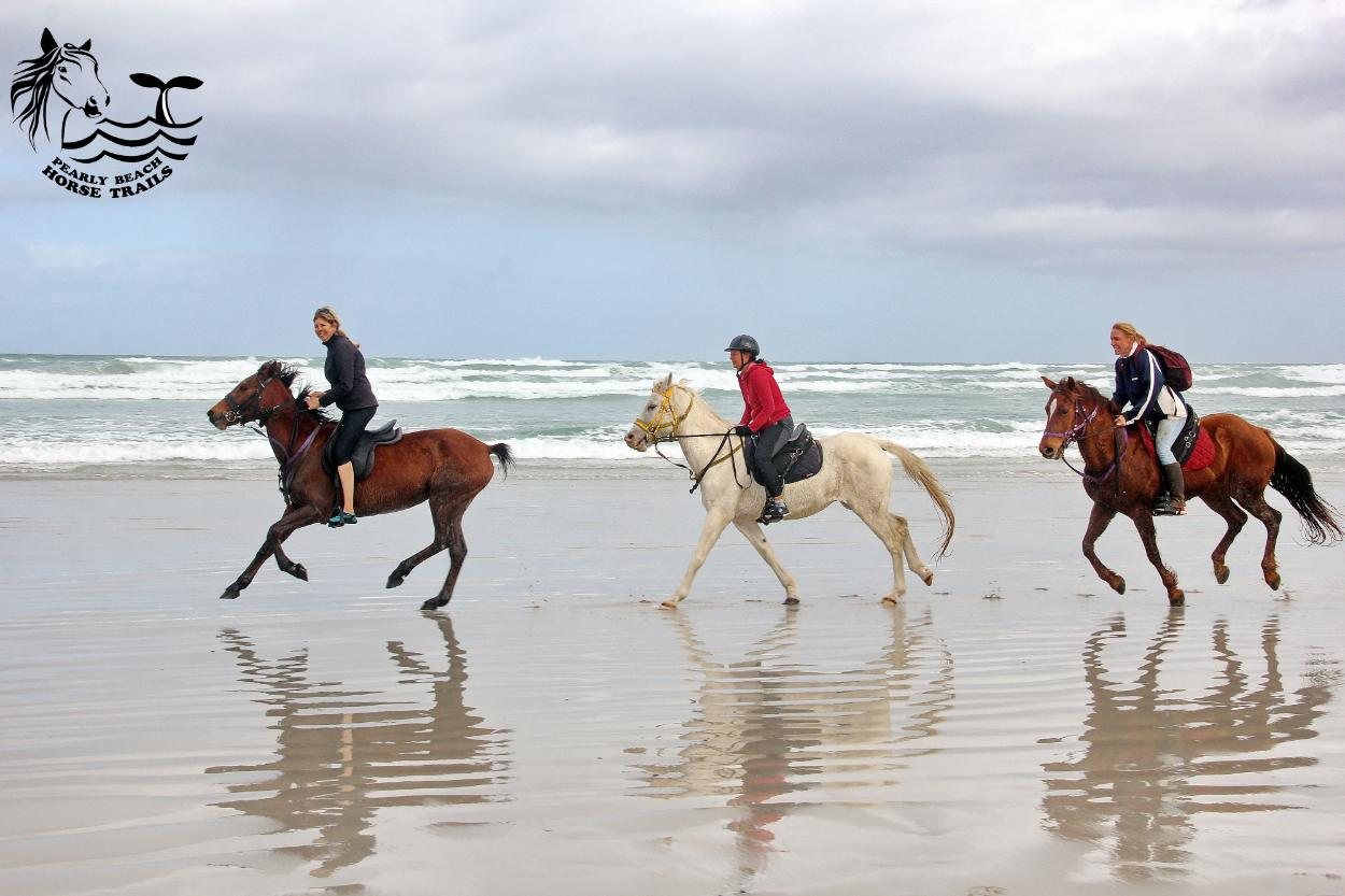 Three riders galloping along the water's edge at Pearly Beach