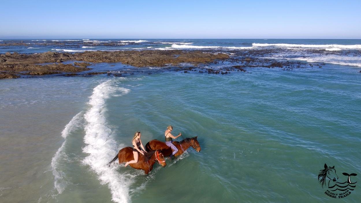 Riders swimming with their horses in the turquoise sea, seen from above