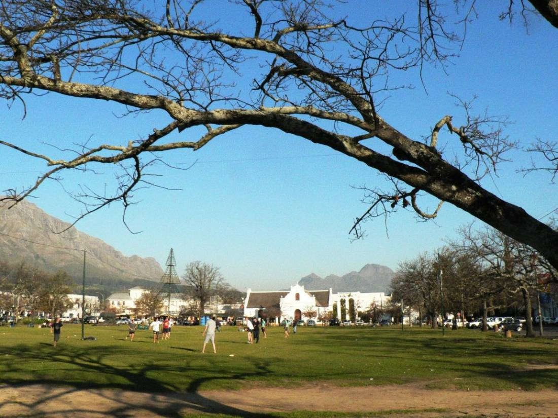 A wide green field framed by oak branches, with mountains in the distance