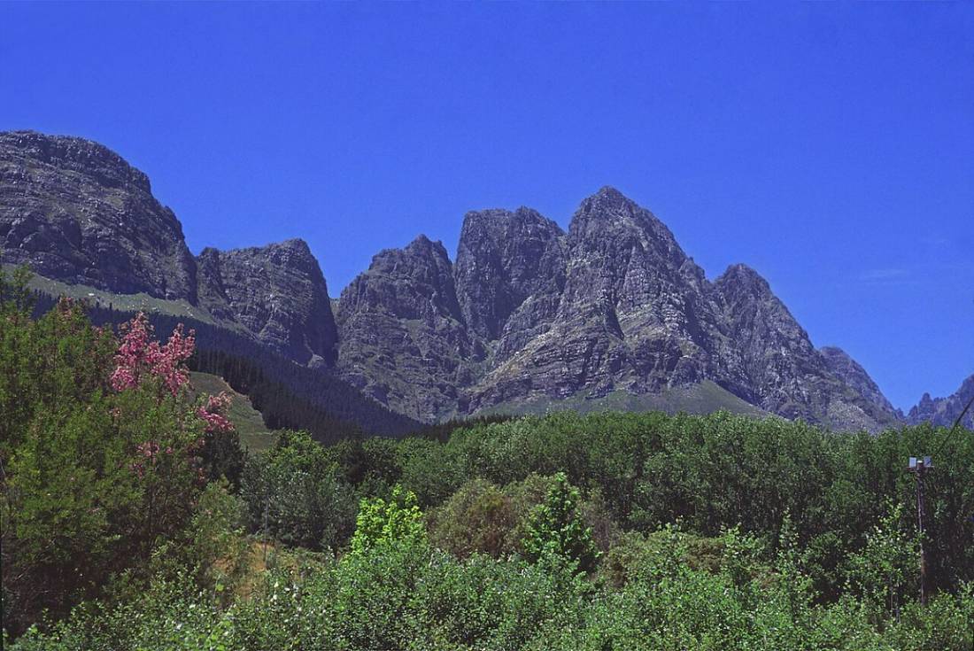 Jagged mountain peaks above green fynbos in the Jonkershoek valley