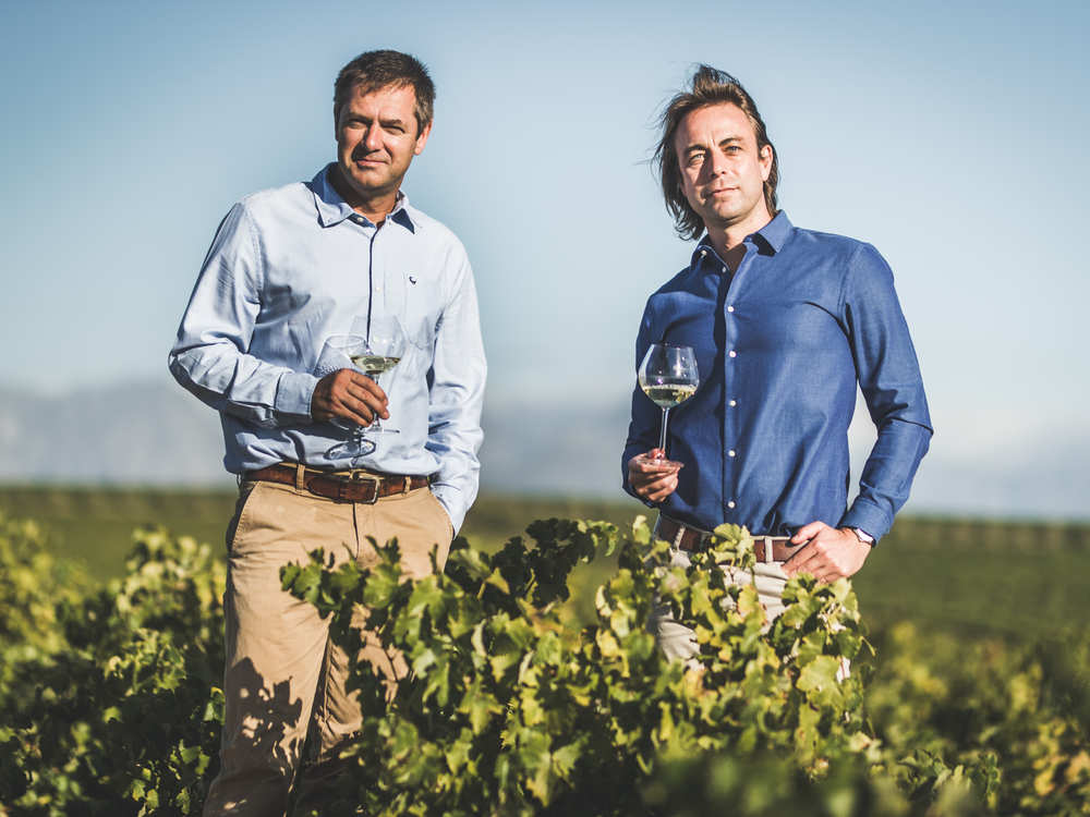 Two men holding glasses of white wine standing among the vines